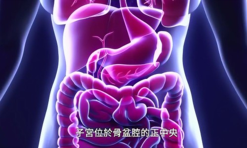 喂奶能吃茄子吗月子里-产后哺乳期能吃茄子吗网 | 产后哺乳期能吃茄子吗会回奶吗,母乳期能吃茄子吗